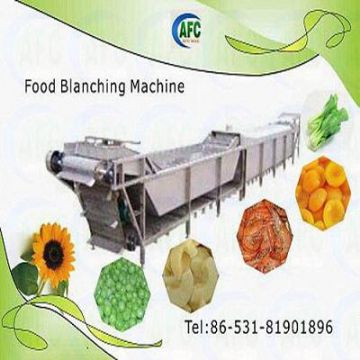 Food Blancher Equipment